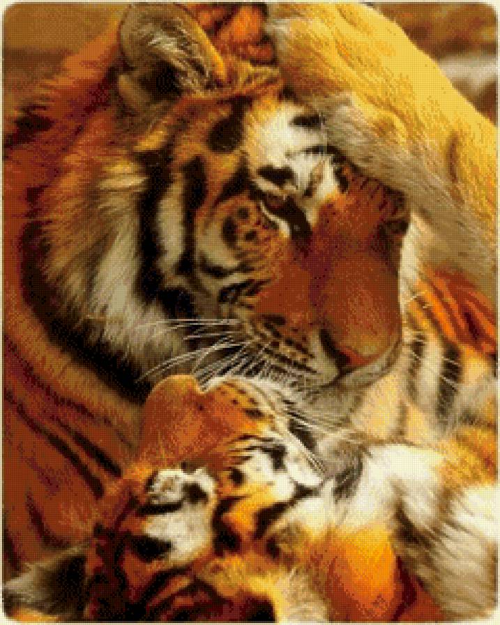 Тигр с тигренком - животные, тигры - предпросмотр