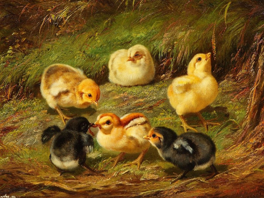 цыплята - цыплята, живопись, детское, животные, птицы - оригинал