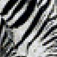 Предпросмотр схемы вышивки «Зебры. Под витраж.» (№858312)