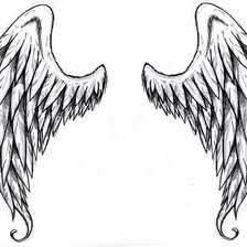 Схема вышивки «Крылья»