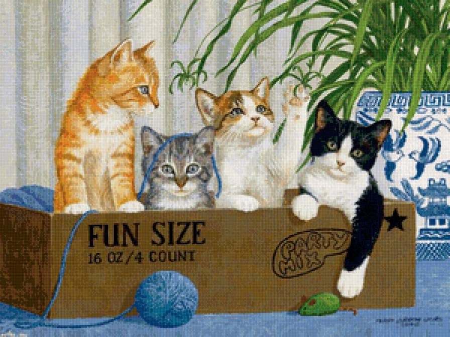 котики в коробке - коробка, кошки, детское, животные, котики, игра, коты - предпросмотр