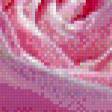 Предпросмотр схемы вышивки «Цветок» (№858641)