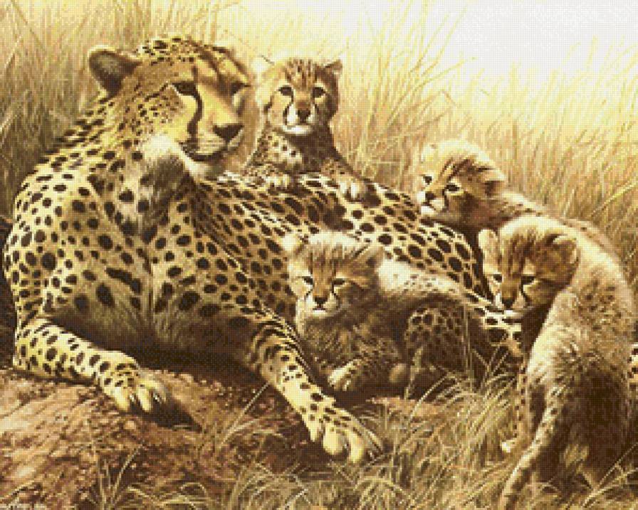 мать с детьми - животные, природа, гепард, материнство, дети, кошки, мать - предпросмотр