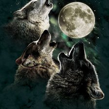 Оригинал схемы вышивки «Волки и луна» (№859469)