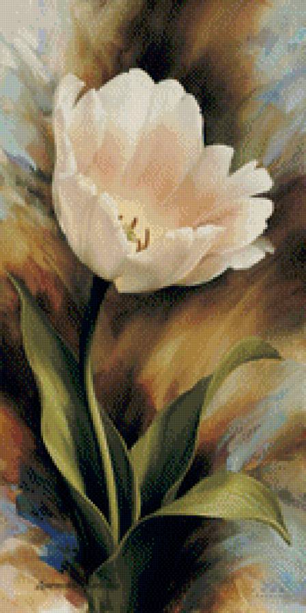 цветы Игоря левашова - тюльпаны, цветы - предпросмотр