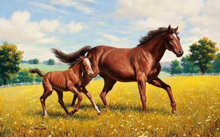 Лошади - лошади, природа - оригинал