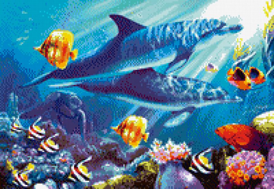 Дельфины - рыбы, песок, глубина моря, дно, отдых, дельфины, красота, море - предпросмотр