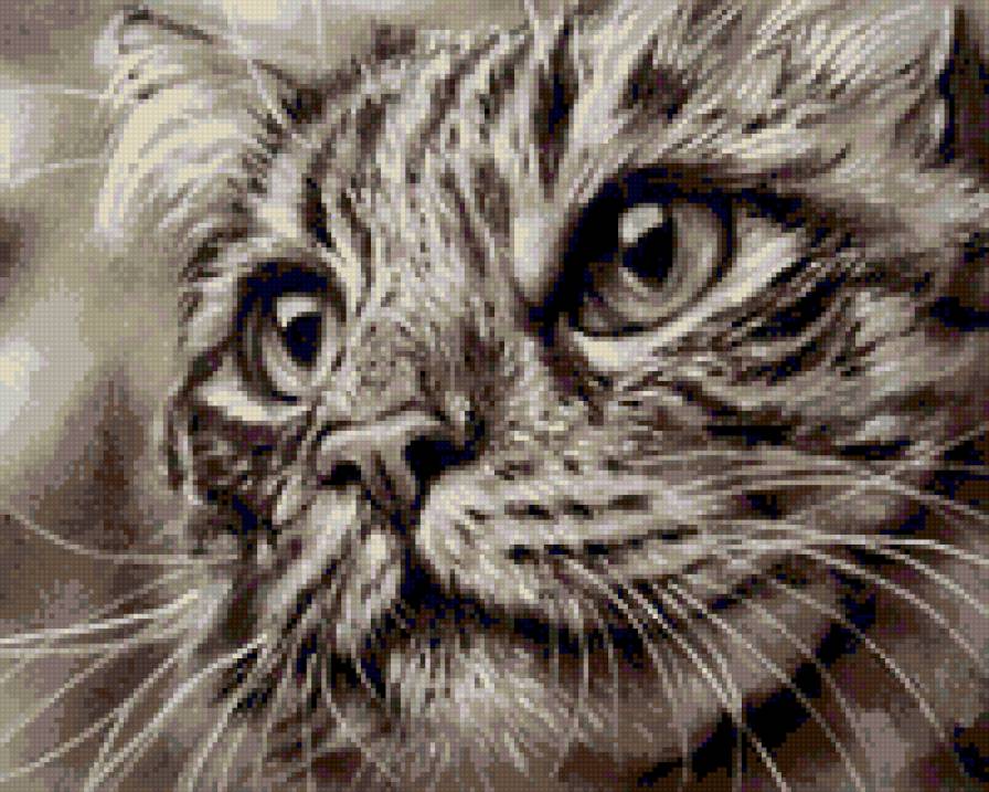 Кот монохром - кот, животные - предпросмотр
