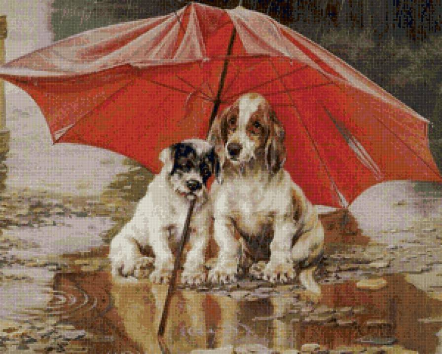 Собаки под дождем 2 - дождь, животные, собаки - предпросмотр