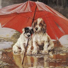 Оригинал схемы вышивки «Собаки под дождем 2» (№860775)