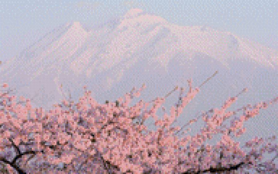 цветущая сакурасакура - сакура, дерево, япония - предпросмотр