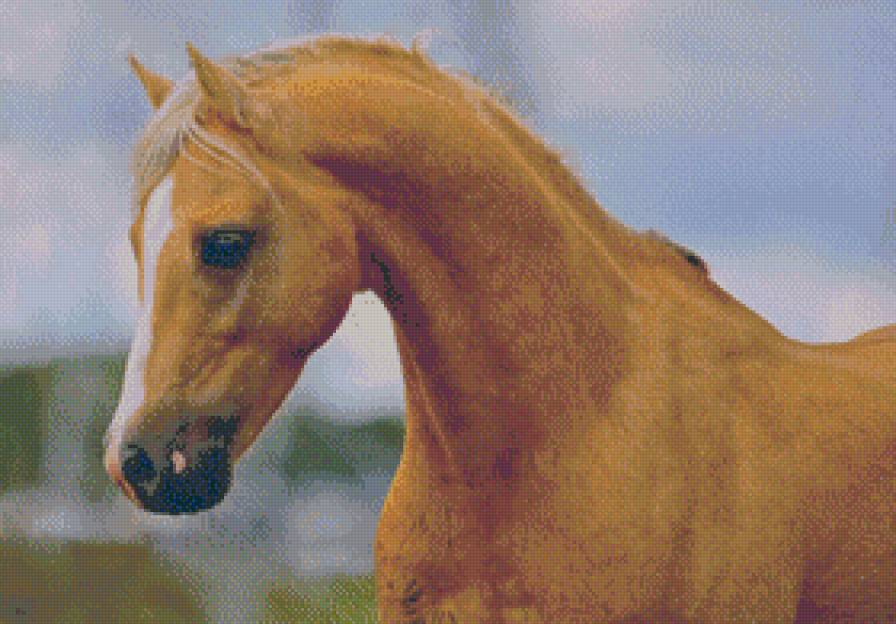 Horse / Лошадь - животное, лошадь - предпросмотр