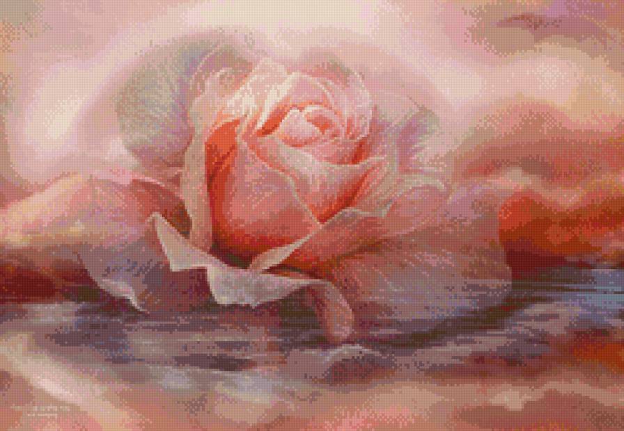 роза в дымке - цветок, букет, лепесток, природа, роза - предпросмотр
