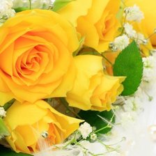 Букет жёлтых роз
