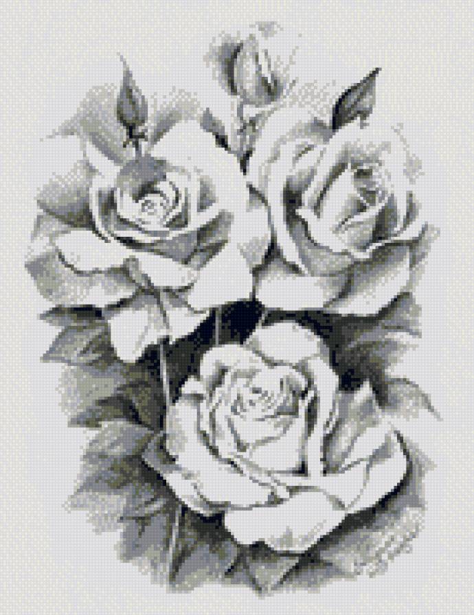 Roses / Розы (монохром) - монохром, розы, цветы - предпросмотр