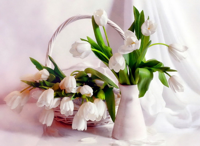 Белые тюльпаны - оригинал