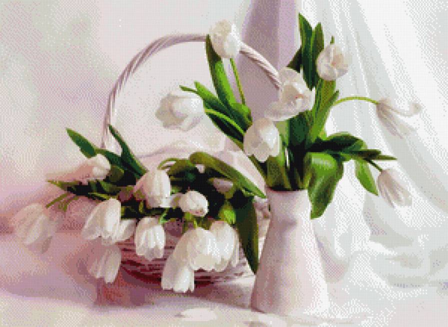 Белые тюльпаны - предпросмотр