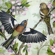 Оригинал схемы вышивки «птицы» (№863522)