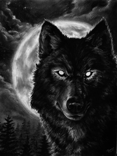Волк черный - оригинал