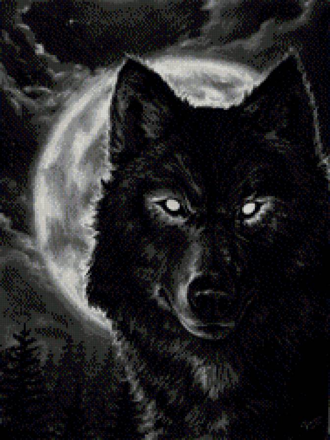Волк черный - предпросмотр