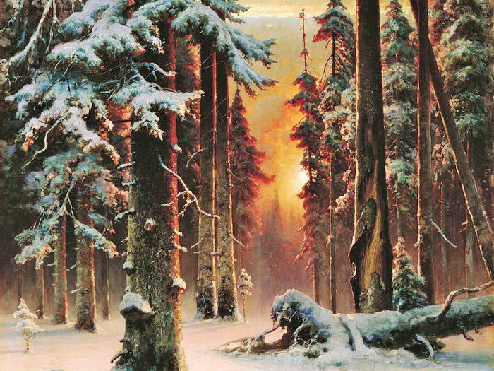 лес - природа, лес, закат, зима, времена года, дерево, пейзаж - оригинал