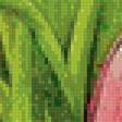 Предпросмотр схемы вышивки «тюльпаны» (№864740)