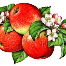 Оригинал схемы вышивки «яблочки» (№864741)