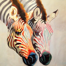 акварельные зебры
