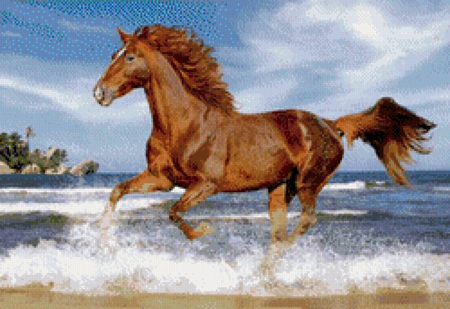 лошадка - животные, лошадь, лошади, кони, лошадка - предпросмотр