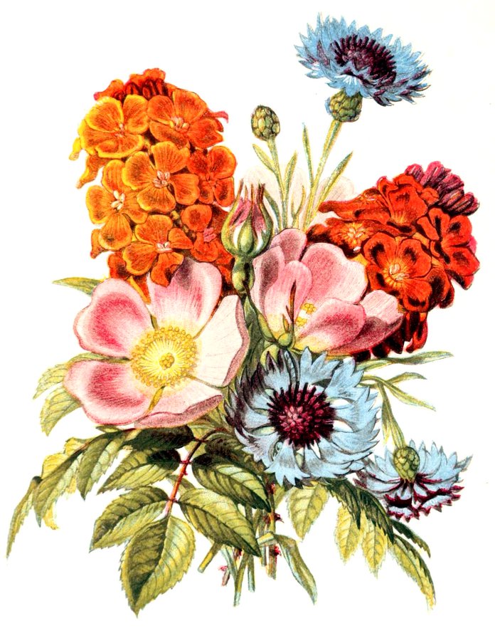 букет цветов - нежность, панно, розы, рисунок, букет, цветы - оригинал