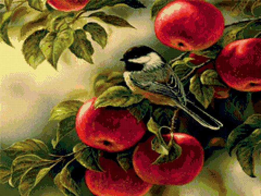 синичка - птица, природа, яблоки - предпросмотр