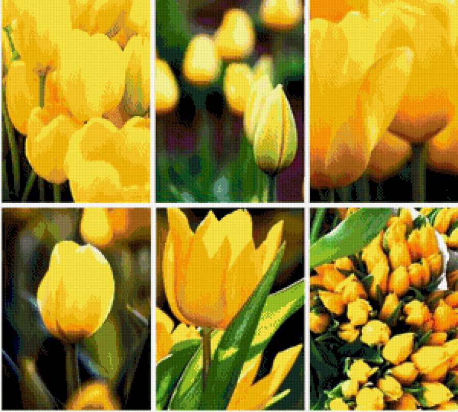 тюльпаны - тюльпаны, цветы, весна, полиптих - предпросмотр