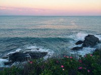 Море - море, берег, природа, цветы, пейзаж - оригинал