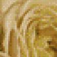 Предпросмотр схемы вышивки «роза желтая» (№868185)