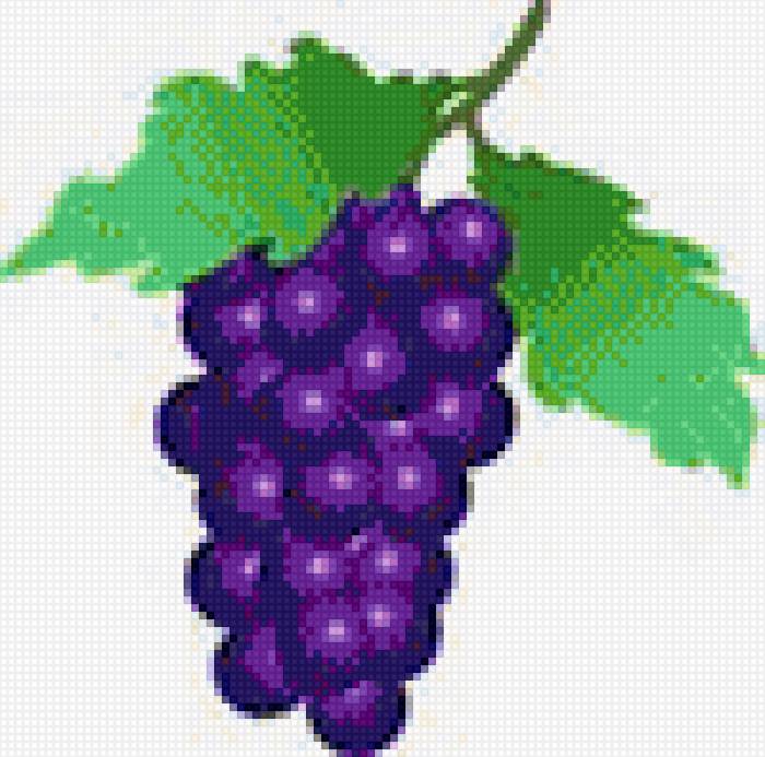 для скатерти - рисунок, виноград, ягоды, узор для скатерти - предпросмотр