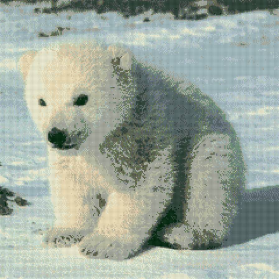 Белый медвежонок - белый, медвежонок - предпросмотр