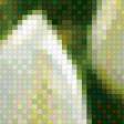 Предпросмотр схемы вышивки «Белые тюльпаны» (№869459)
