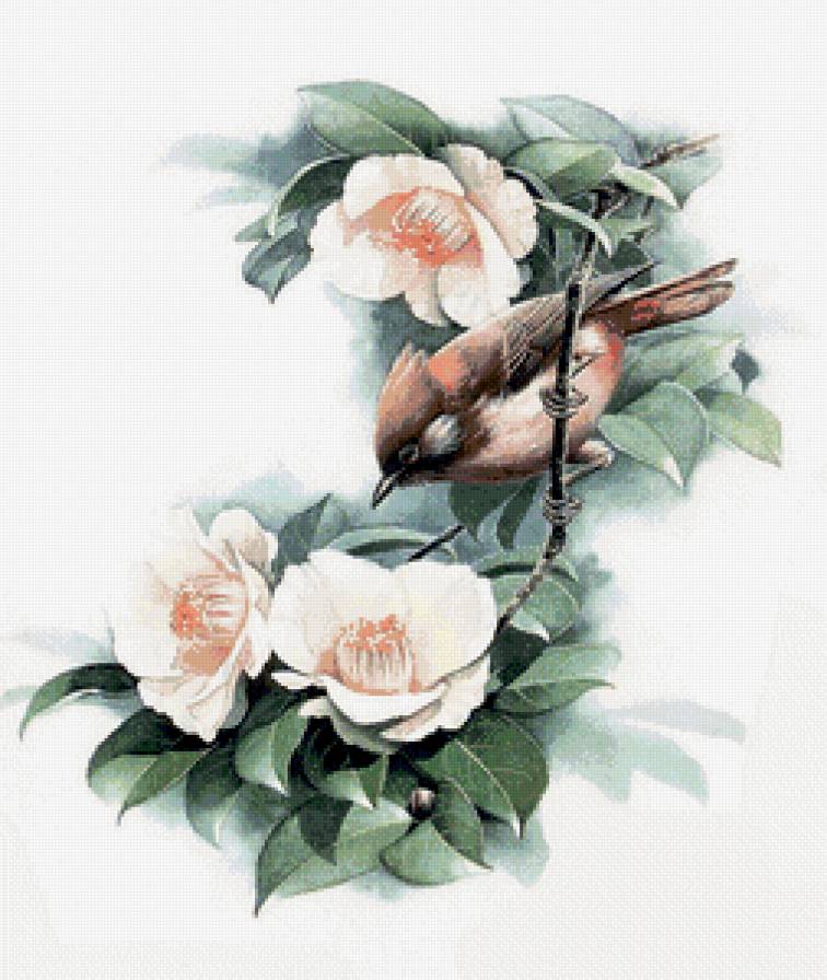 Птица на ветке - цветы, птицы - предпросмотр