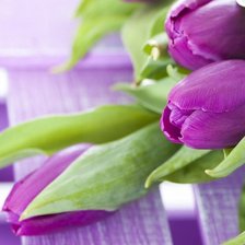 Оригинал схемы вышивки «Фиолетовые тюльпаны» (№869530)