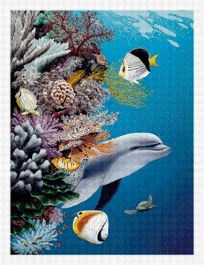 №869591 - дельфин, море, рыбки - предпросмотр
