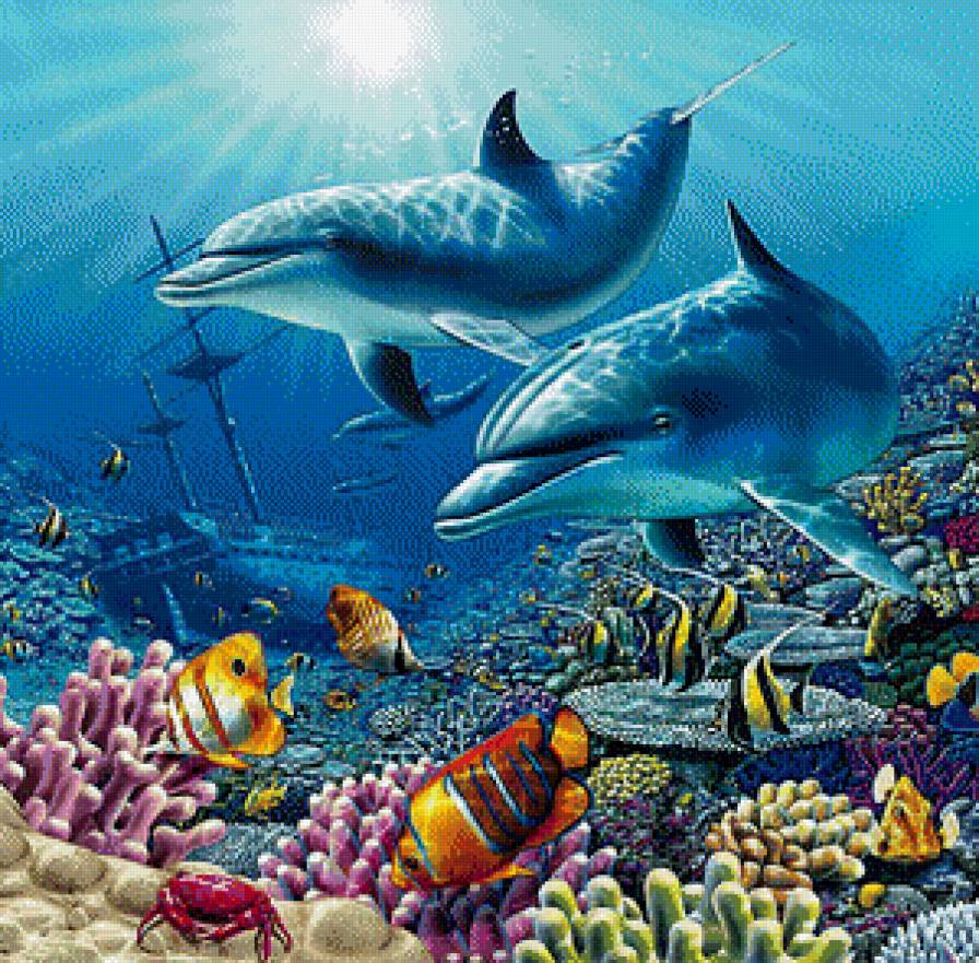 №869592 - море, дельфин - предпросмотр