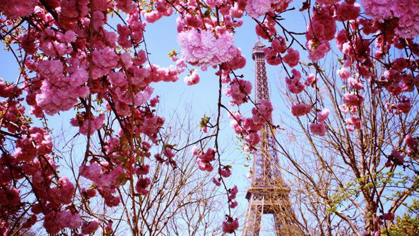 Весна в Париже - цветы - оригинал