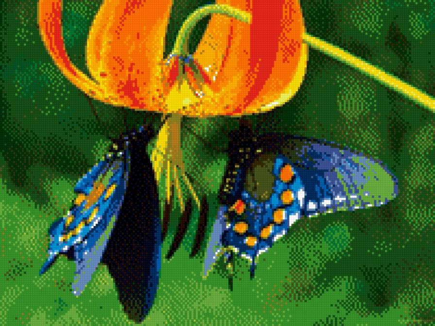 Бабочки - бабочки, цветы - предпросмотр