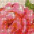 Предпросмотр схемы вышивки «розы» (№870575)