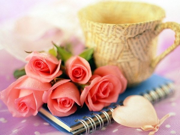 романтическое утро - романтика, цветы, утро - оригинал