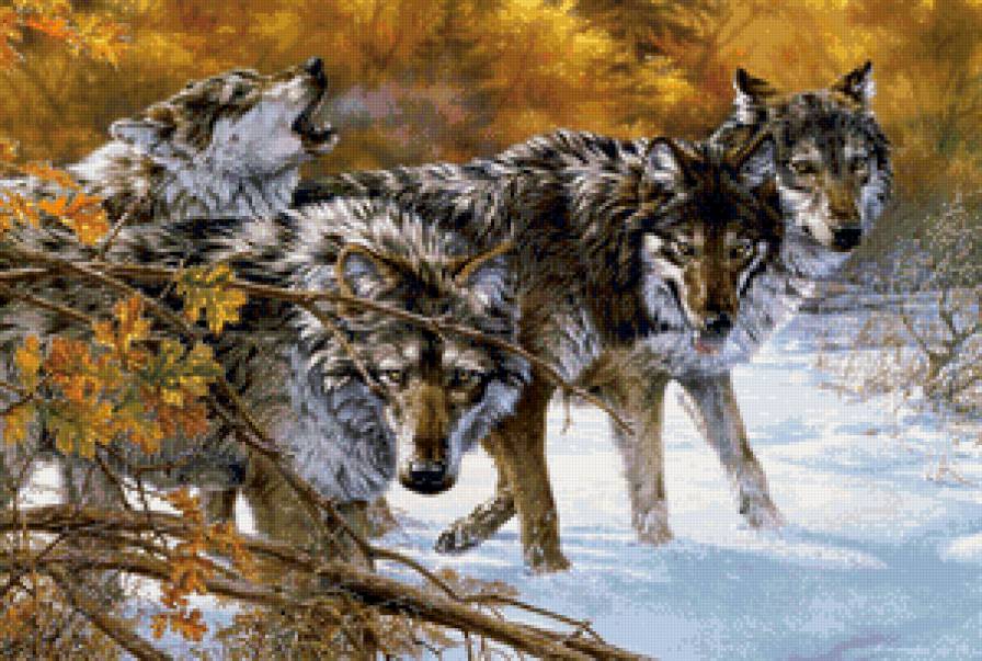 стая волков - волки, стая, животные, снег, природа - предпросмотр