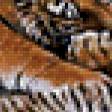 Предпросмотр схемы вышивки «семья тигров» (№871138)