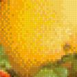 Предпросмотр схемы вышивки «фруктовое изобилие» (№871378)