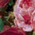 Предпросмотр схемы вышивки «Розы австрийского художника   Вальдмюллера  Фердинанда Георга» (№873309)