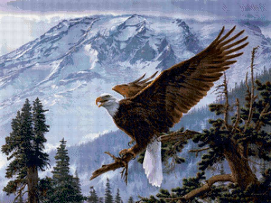 орёл - зима, животные, горы, орел, хищник, птица - предпросмотр